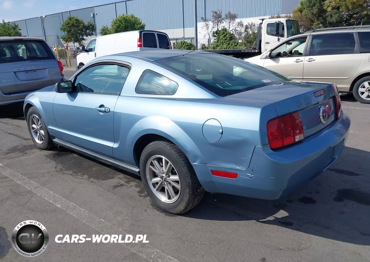2005 Ford Mustang V6 Deluxe-V6 Premium VIN:1ZVFT80N455138465 - 3