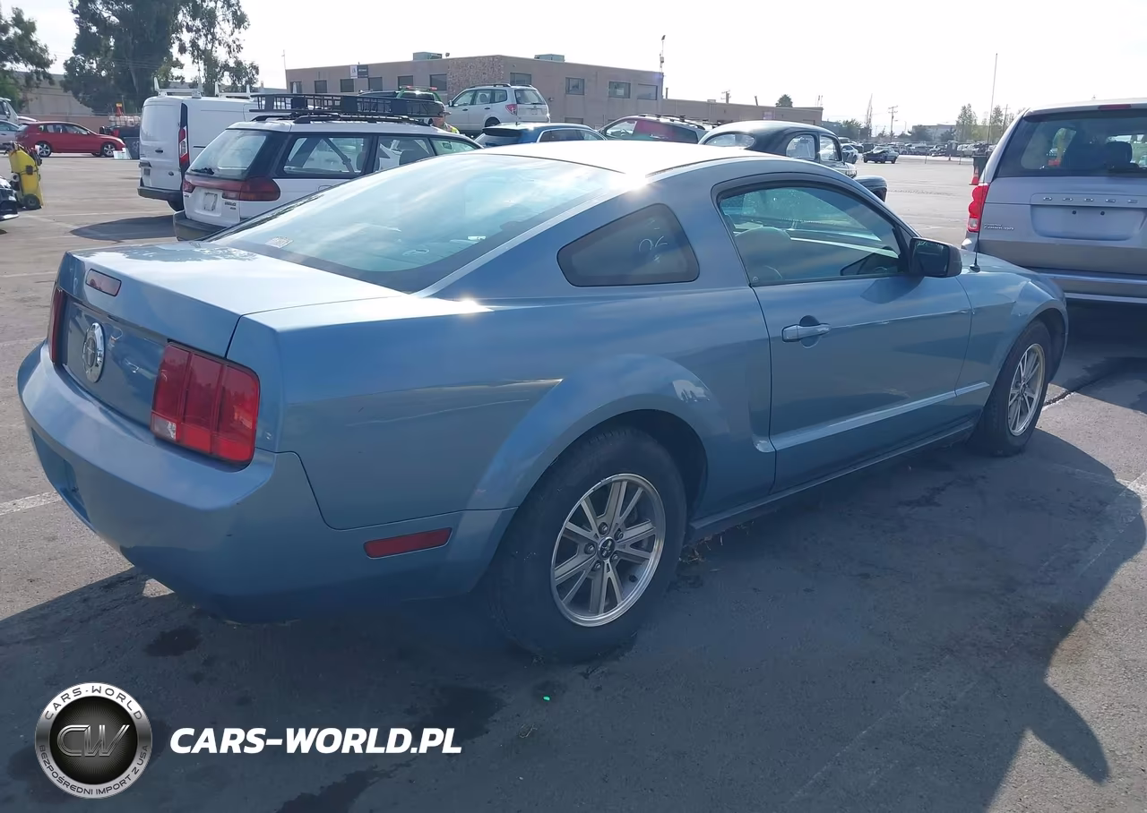 2005 Ford Mustang V6 Deluxe-V6 Premium VIN:1ZVFT80N455138465 - 4