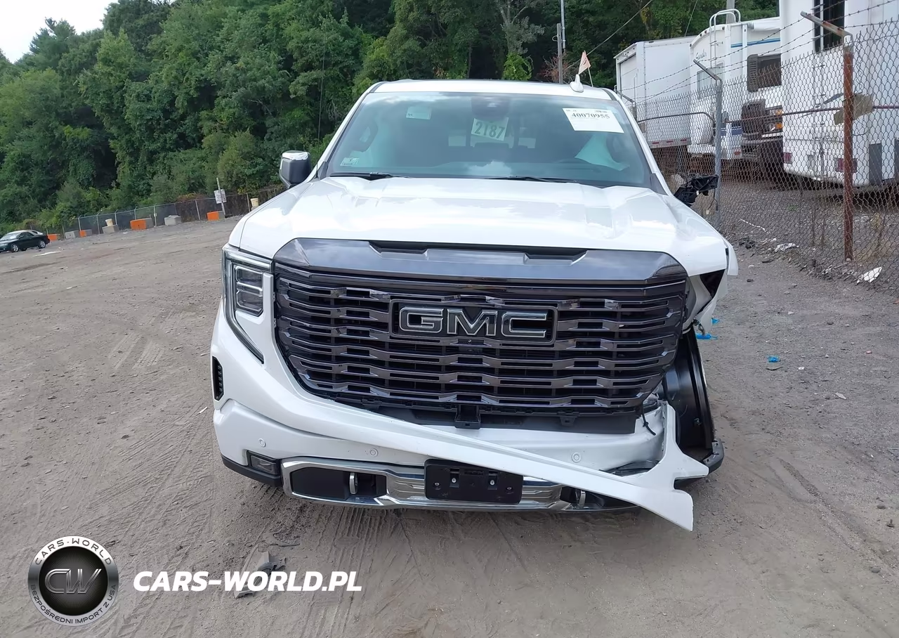2024 GMC Sierra 1500 Denali Ultimate VIN:1GTUUHEL1RZ281838 - 12