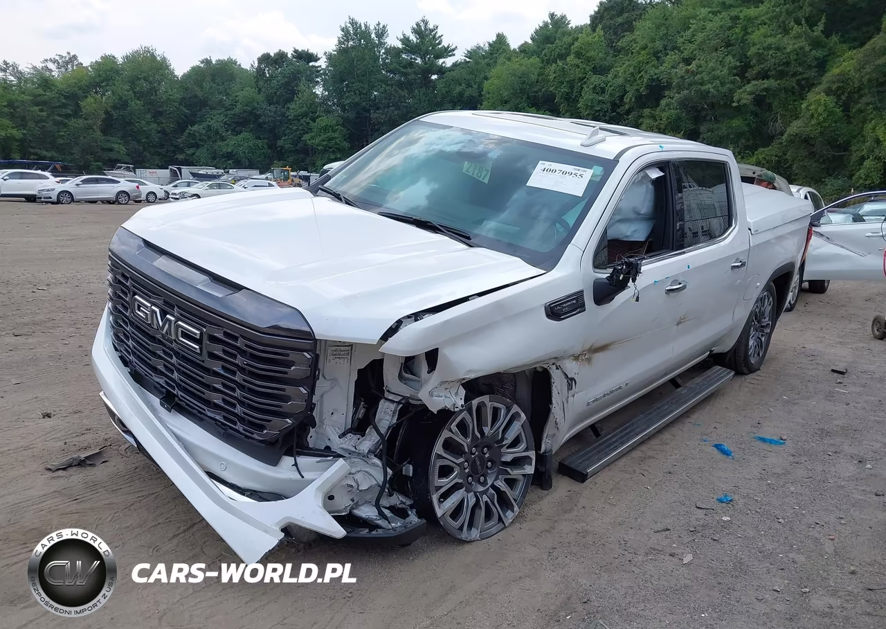 2024 GMC Sierra 1500 Denali Ultimate VIN:1GTUUHEL1RZ281838 - 2