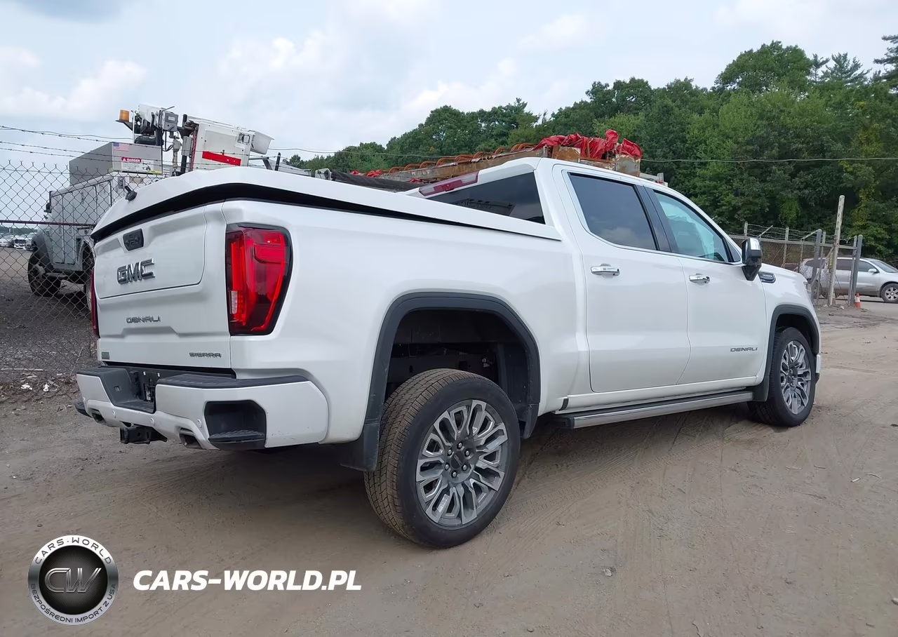 2024 GMC Sierra 1500 Denali Ultimate VIN:1GTUUHEL1RZ281838 - 4