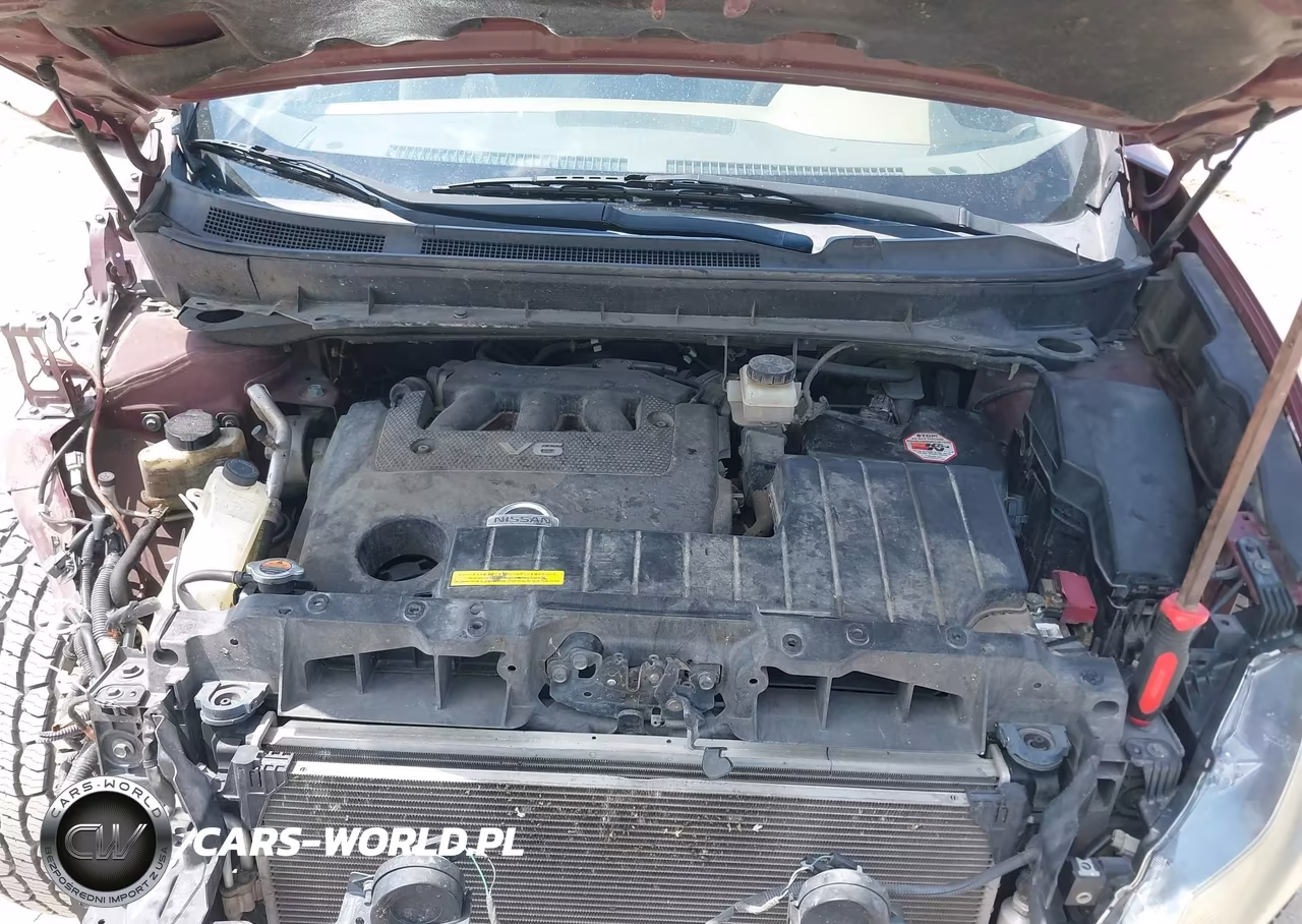 2009 Nissan Murano Sl VIN:JN8AZ18U89W028828 - 10
