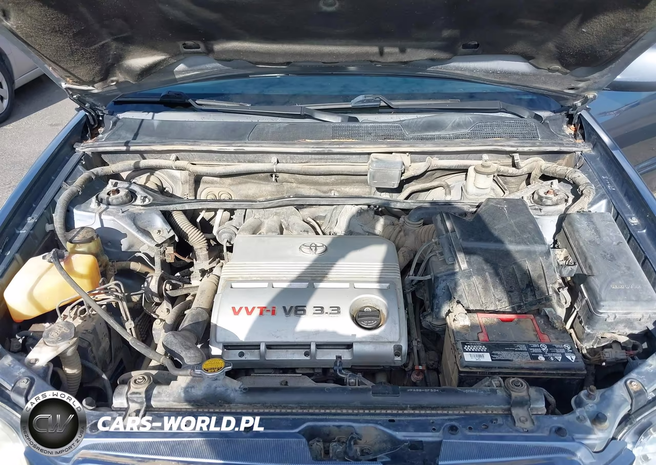 2007 Toyota Highlander V6 VIN:JTEEP21AX70230316 - 10