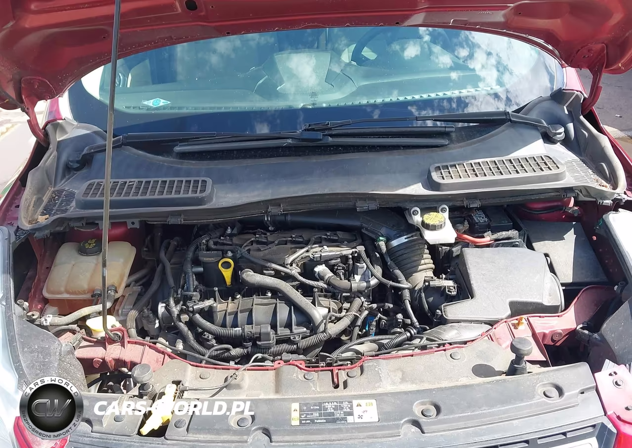 2013 Ford Escape Se VIN:1FMCU0GX1DUD18014 - 10
