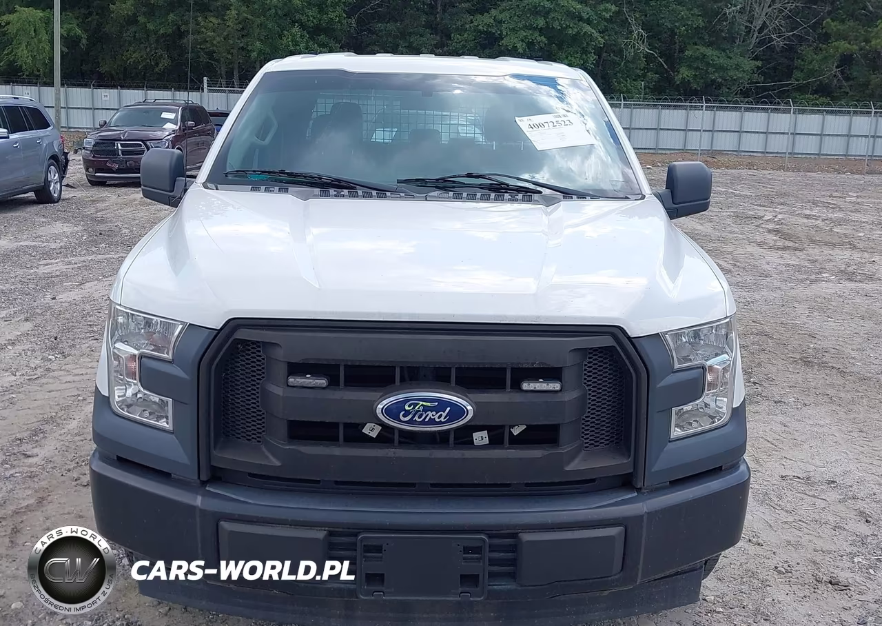 2017 Ford F-150 Xl VIN:1FTEX1CF1HFC06394 - 12