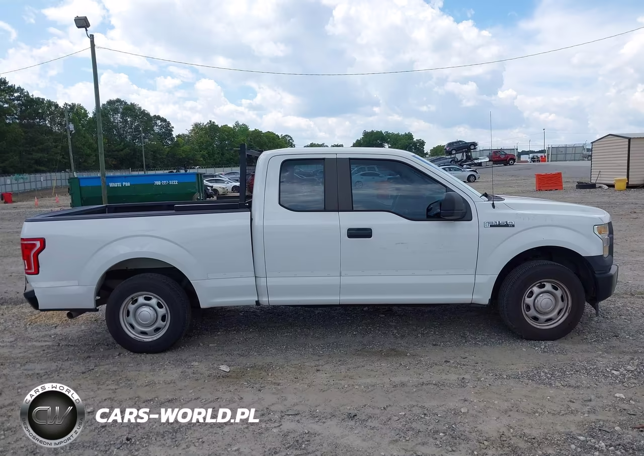 2017 Ford F-150 Xl VIN:1FTEX1CF1HFC06394 - 13