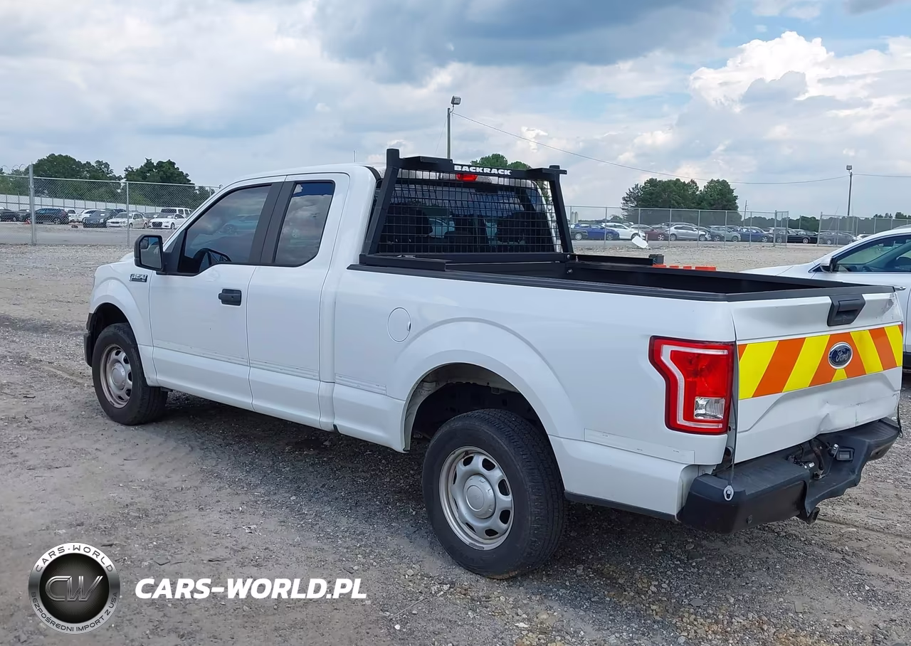 2017 Ford F-150 Xl VIN:1FTEX1CF1HFC06394 - 3