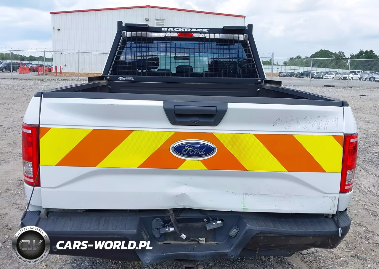 2017 Ford F-150 Xl VIN:1FTEX1CF1HFC06394 - 6