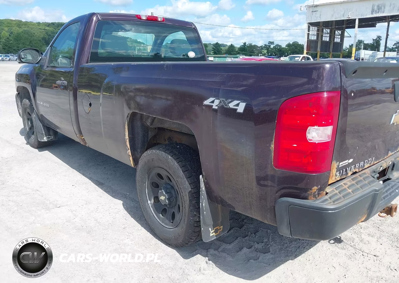 2008 Chevrolet Silverado 1500 Work Truck VIN:1GCEK14XX8Z272902 - 16