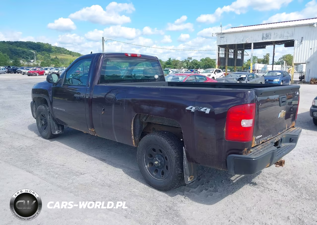 2008 Chevrolet Silverado 1500 Work Truck VIN:1GCEK14XX8Z272902 - 3