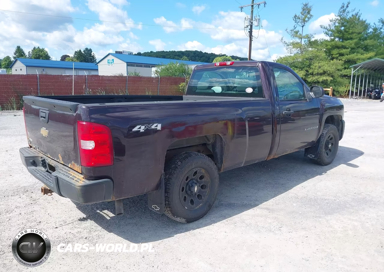 2008 Chevrolet Silverado 1500 Work Truck VIN:1GCEK14XX8Z272902 - 4