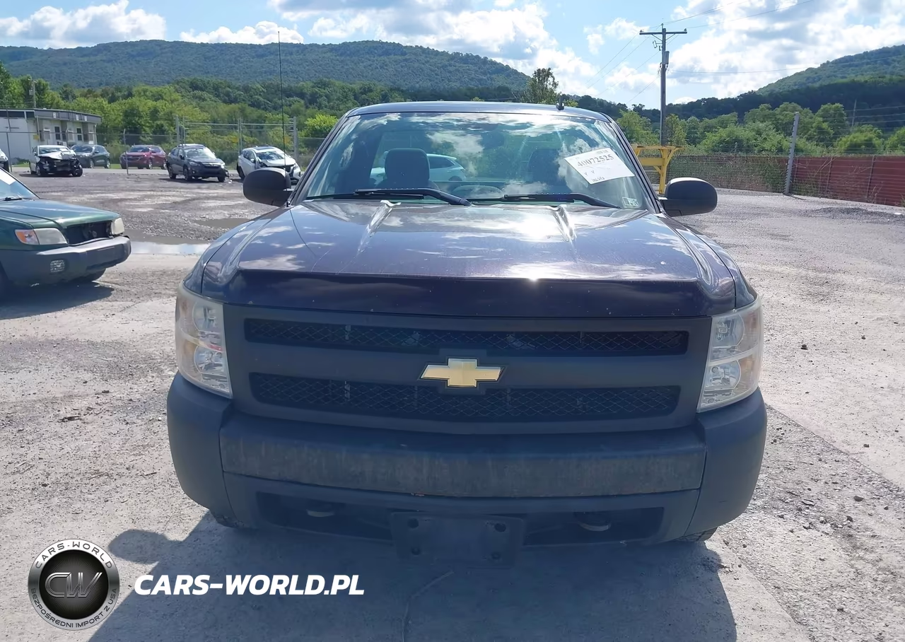 2008 Chevrolet Silverado 1500 Work Truck VIN:1GCEK14XX8Z272902 - 6
