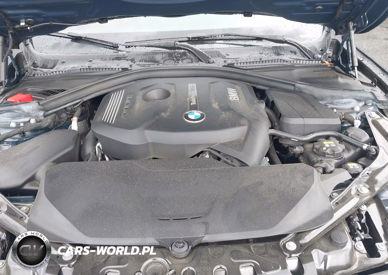 BMW 430I VIN:WBA4U9C38H5H64029 - 10