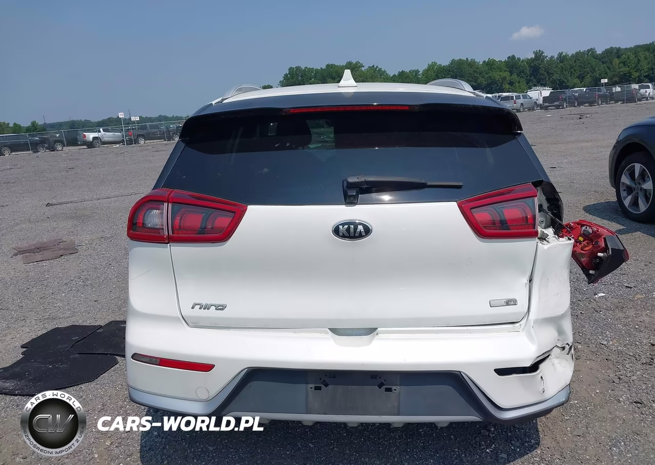 2019 Kia Niro Lx VIN:KNDCB3LC6K5218464 - 17