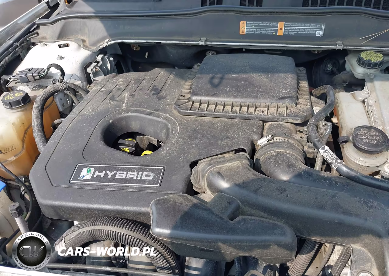 2014 Ford Fusion Hybrid Titanium VIN:3FA6P0RU0ER329063 - 10