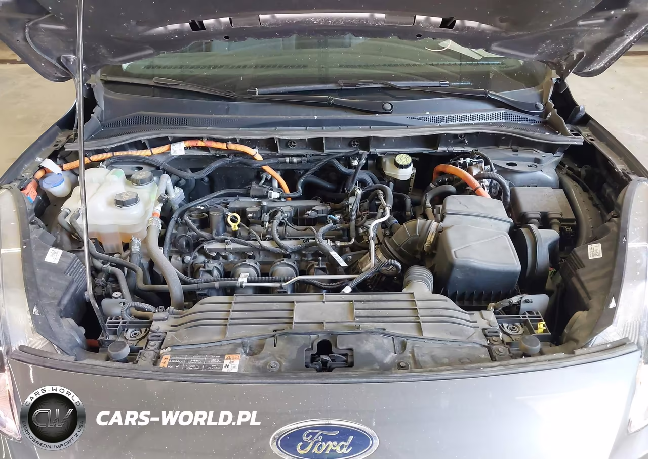 2021 Ford Escape Se Hybrid VIN:1FMCU9BZ9MUA91233 - 10