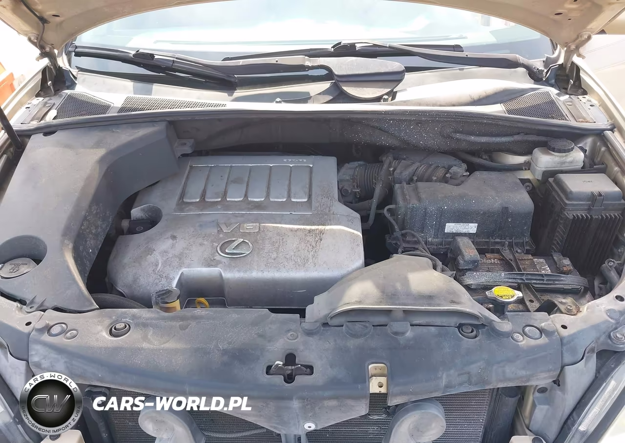 2009 Lexus Rx 350 VIN:2T2GK31UX9C071958 - 10