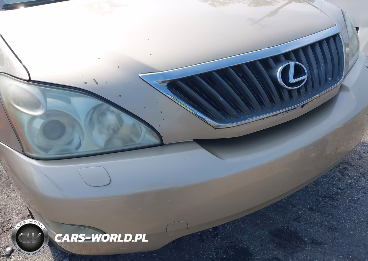 2009 Lexus Rx 350 VIN:2T2GK31UX9C071958 - 6