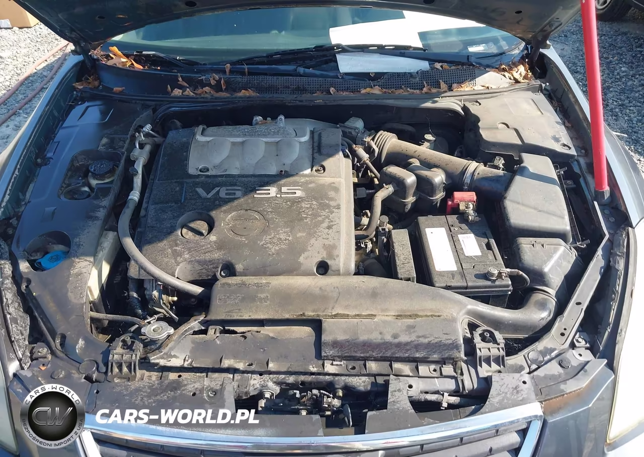 2007 Nissan Maxima 3.5 Se VIN:1N4BA41E17C825227 - 10