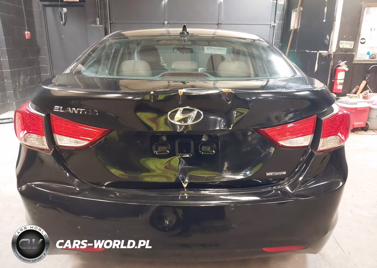 2011 Hyundai Elantra Limited VIN:5NPDH4AE4BH013545 - 16