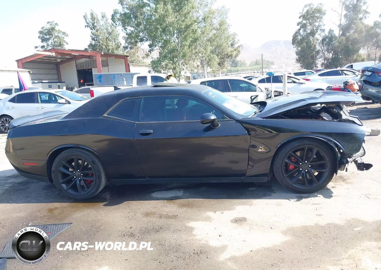 2016 Dodge Challenger R-T Scat Pack VIN:2C3CDZFJ1GH131860 - 13