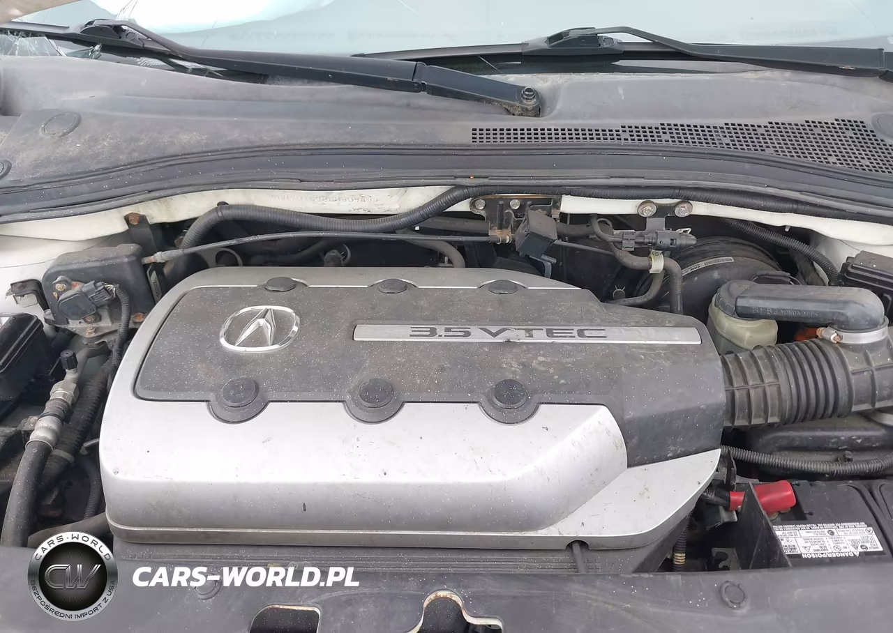 2006 Acura Mdx VIN:2HNYD18956H509497 - 10