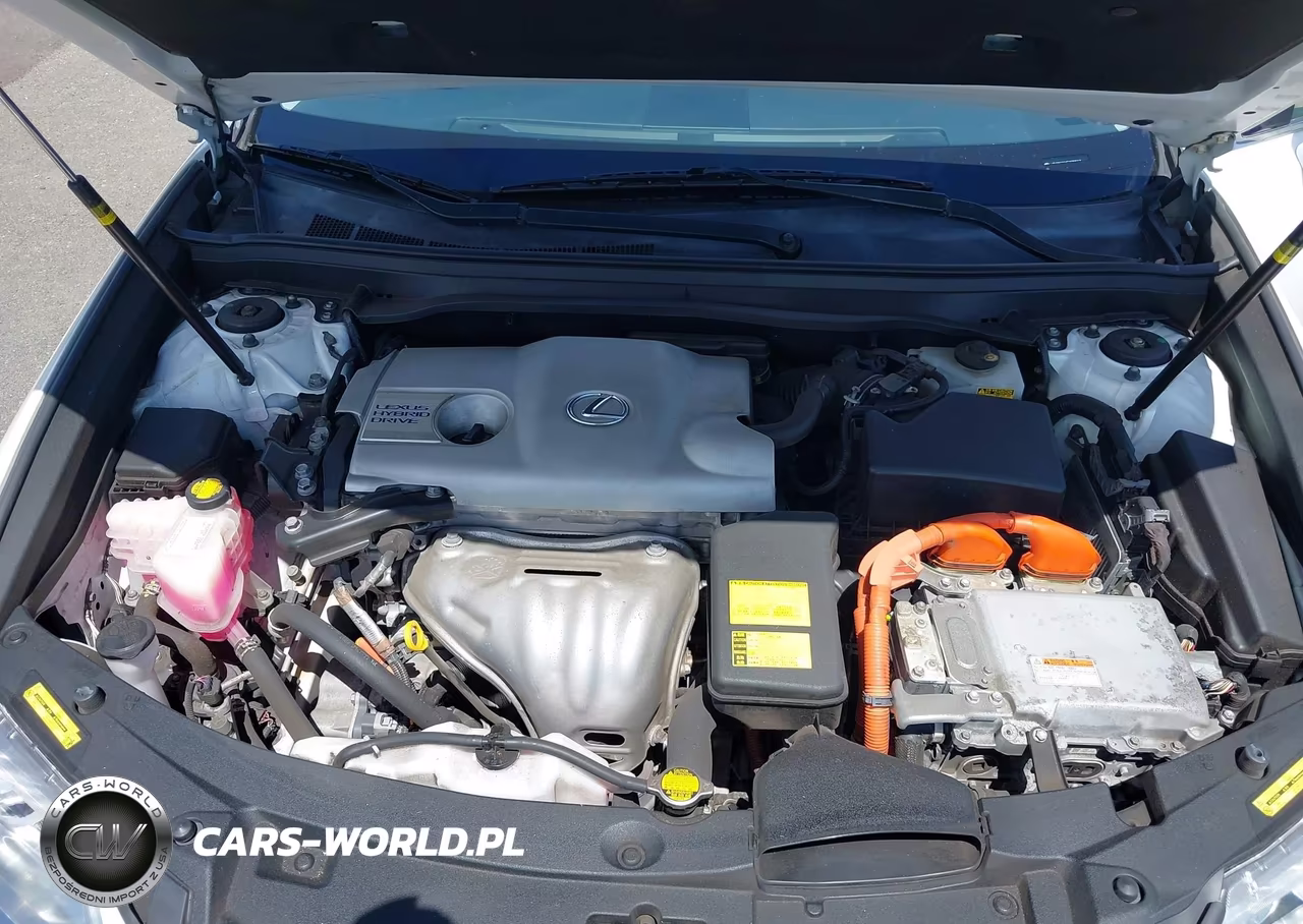 2014 Lexus Es 300H VIN:JTHBW1GGXE2038913 - 10