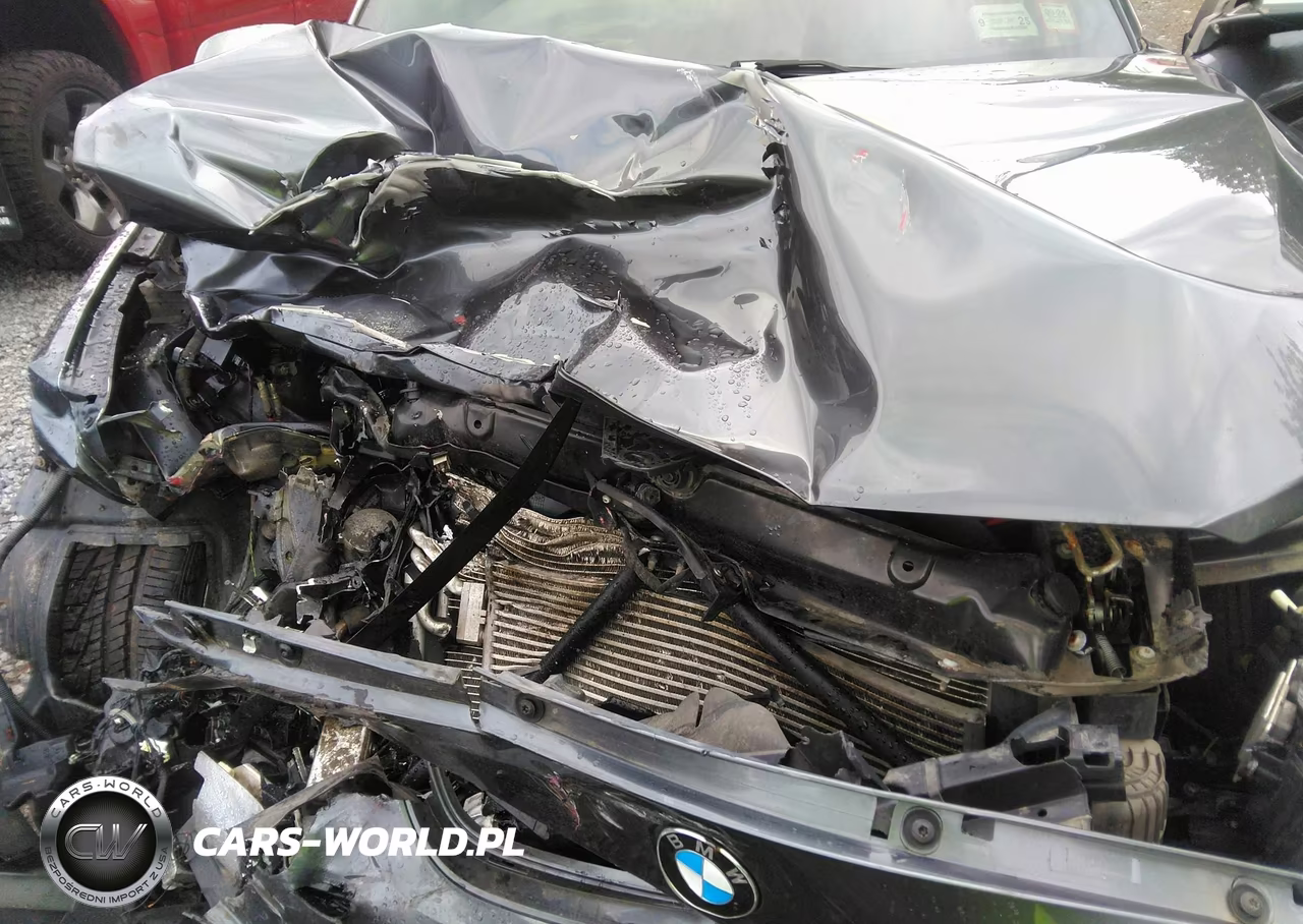 BMW M235 VIN:WBA1J9C51FV371495 - 10