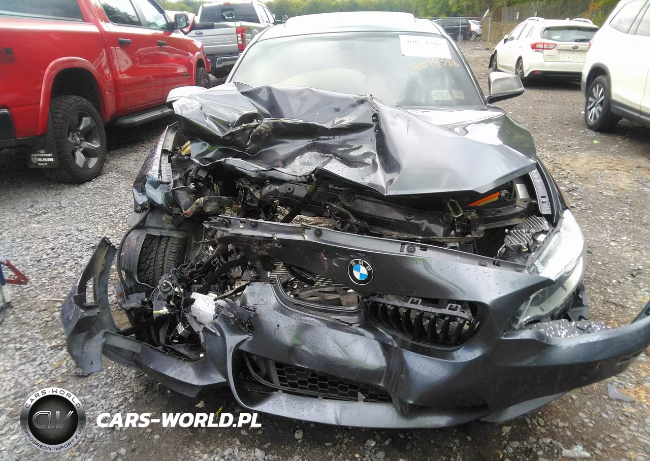 BMW M235 VIN:WBA1J9C51FV371495 - 11