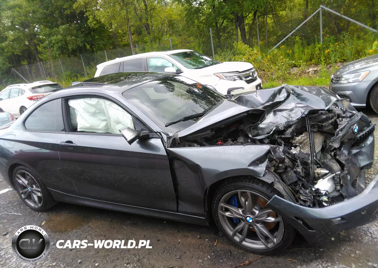 BMW M235 VIN:WBA1J9C51FV371495 - 12