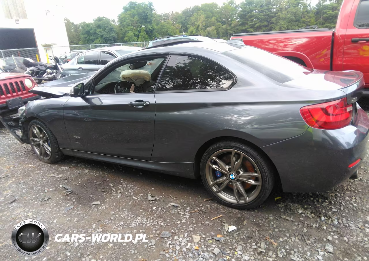 BMW M235 VIN:WBA1J9C51FV371495 - 13