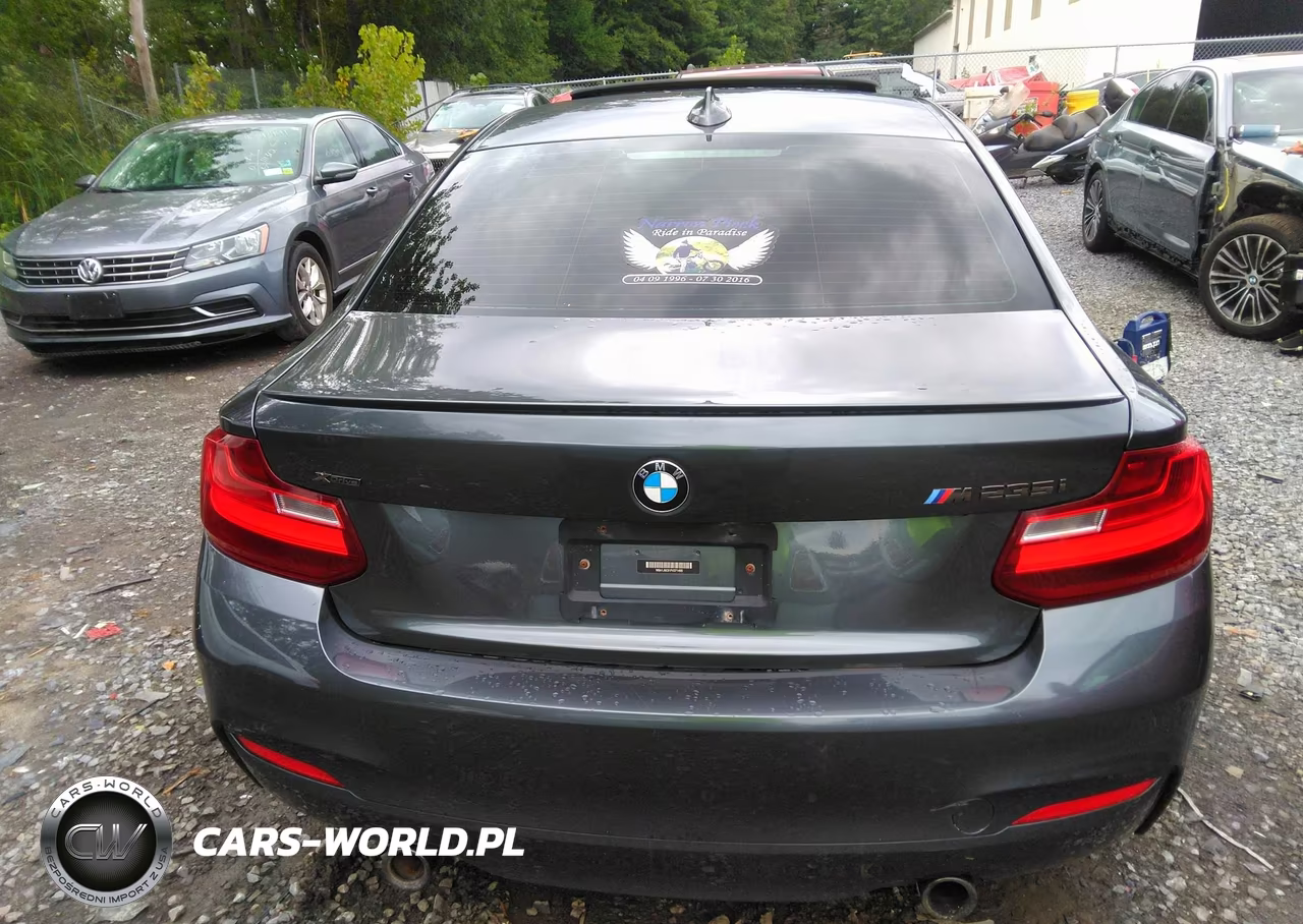 BMW M235 VIN:WBA1J9C51FV371495 - 15
