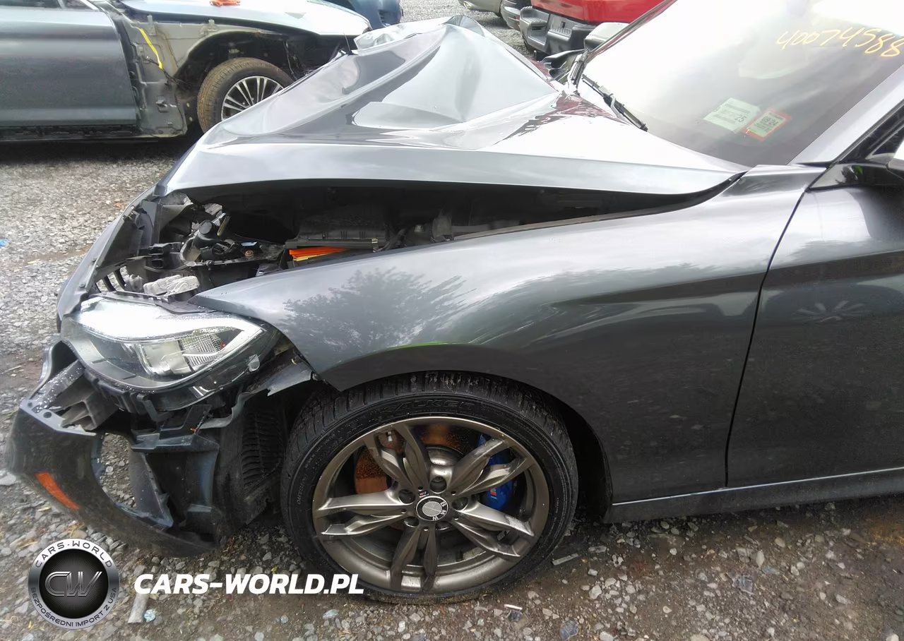 BMW M235 VIN:WBA1J9C51FV371495 - 17