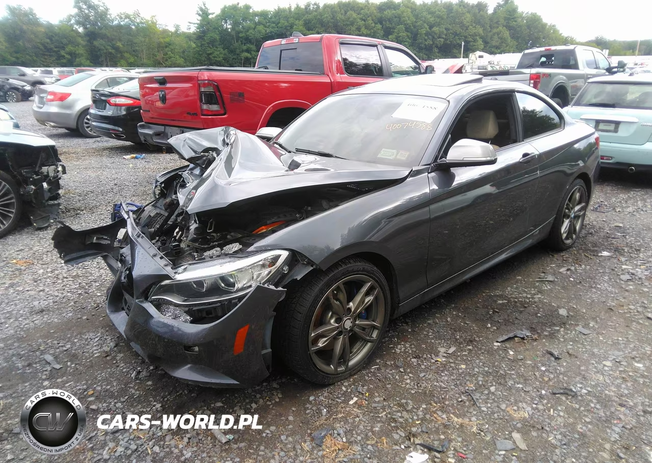 BMW M235 VIN:WBA1J9C51FV371495 - 2