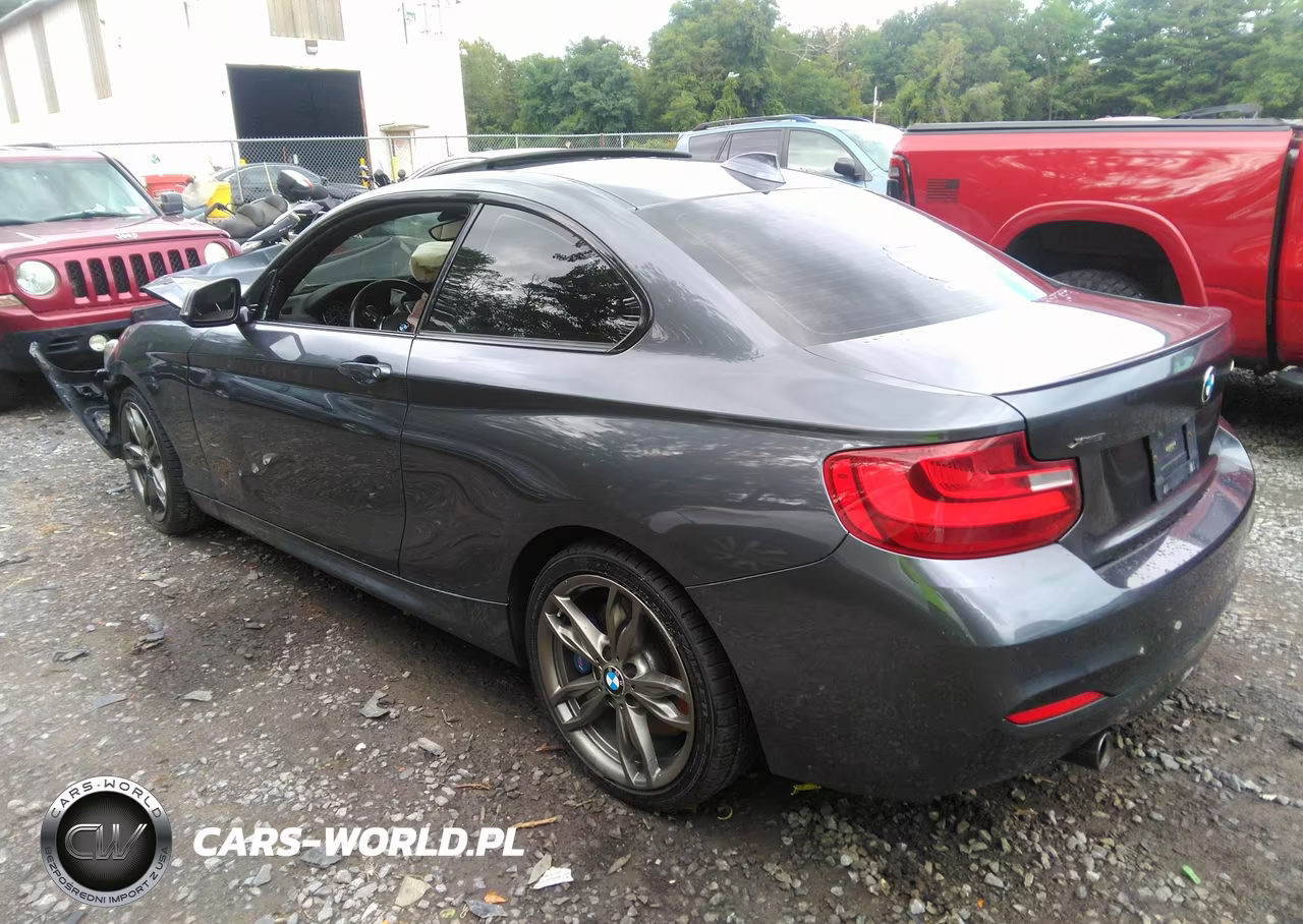 BMW M235 VIN:WBA1J9C51FV371495 - 3