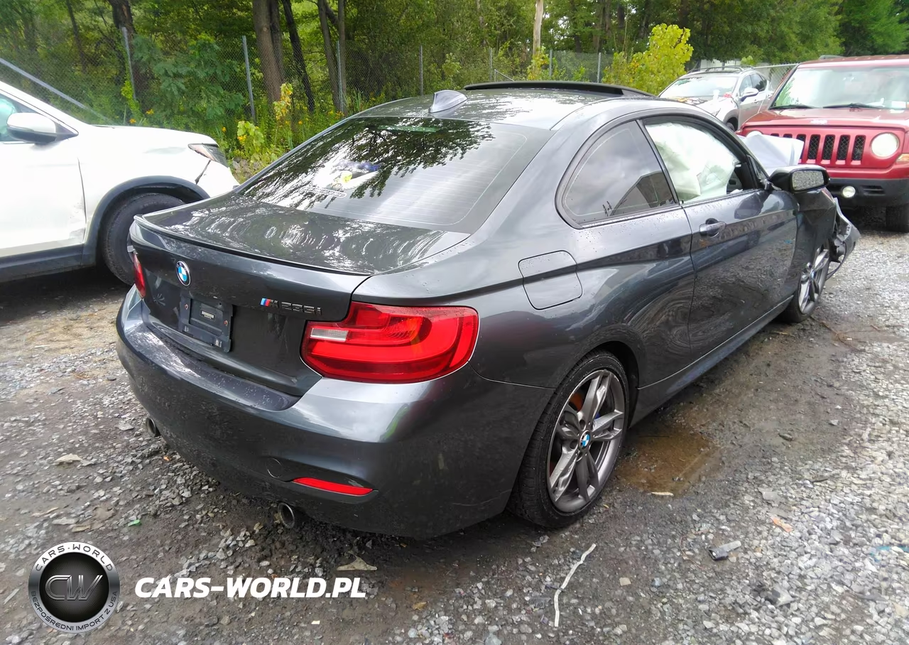 BMW M235 VIN:WBA1J9C51FV371495 - 4