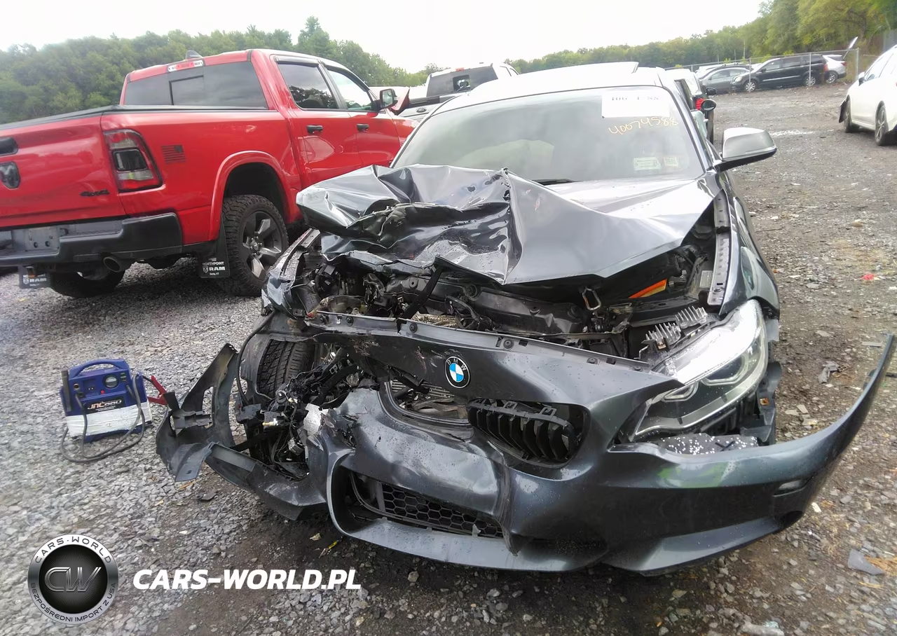 BMW M235 VIN:WBA1J9C51FV371495 - 6