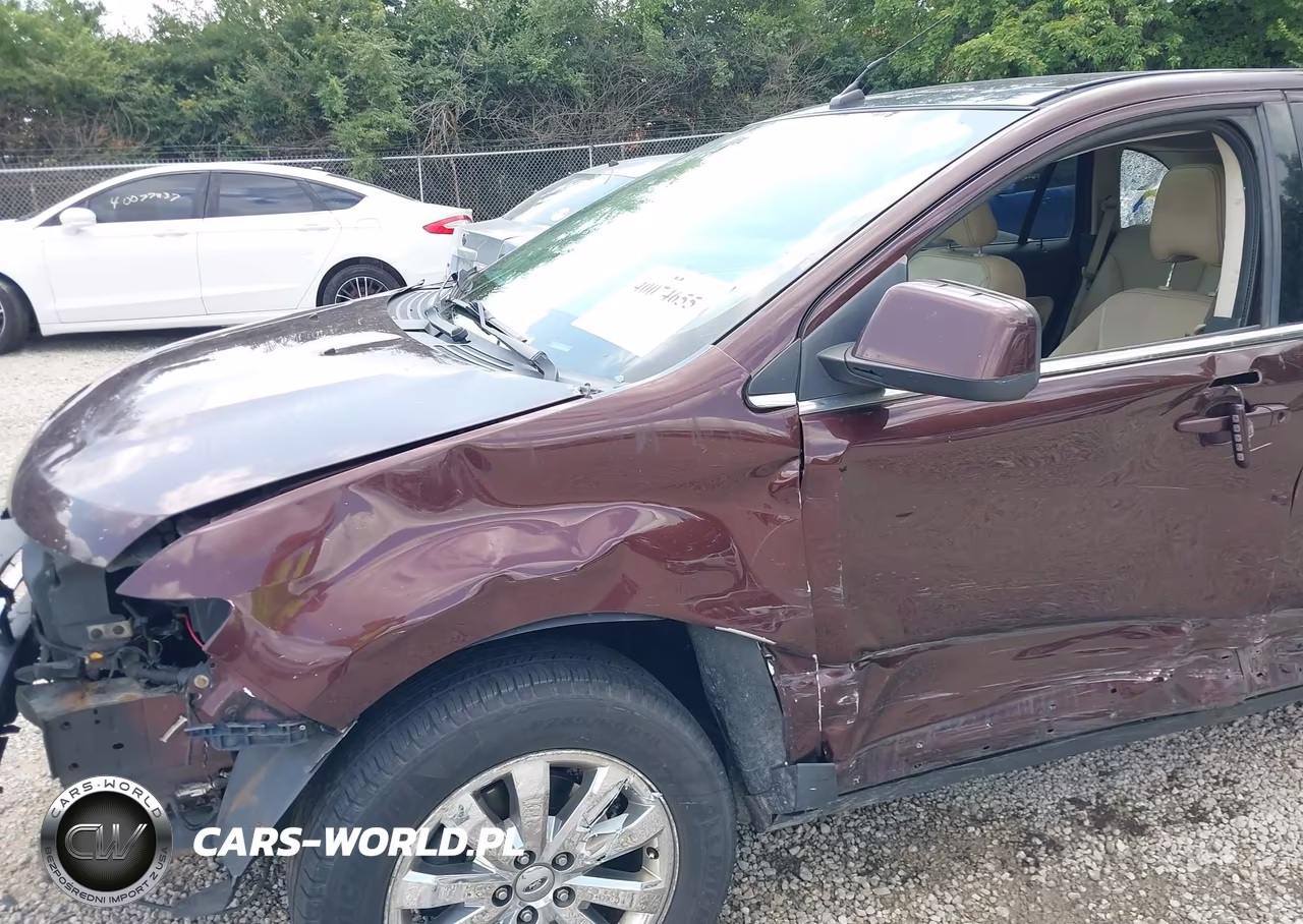 2009 Ford Edge Limited VIN:2FMDK49C09BA46936 - 18