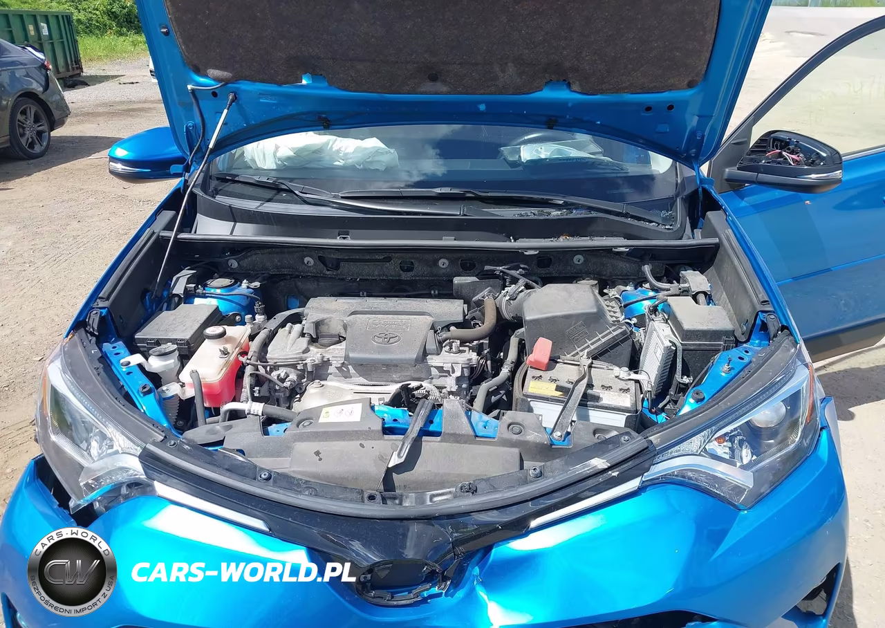 2017 Toyota Rav4 Xle VIN:JTMRFREV0HD204557 - 10