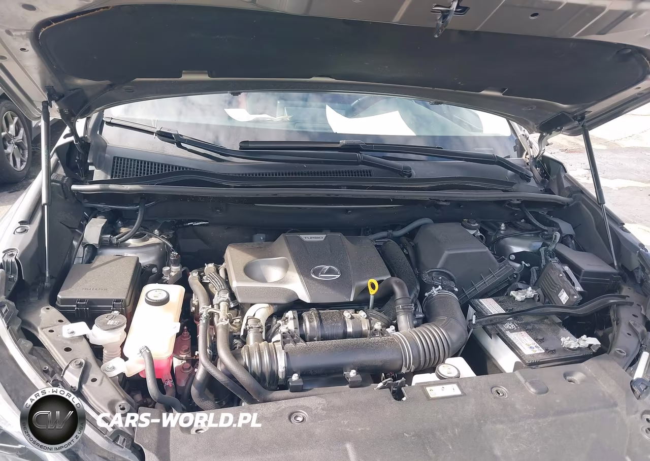 2020 Lexus Nx 300 VIN:JTJGARBZ1L2166772 - 10