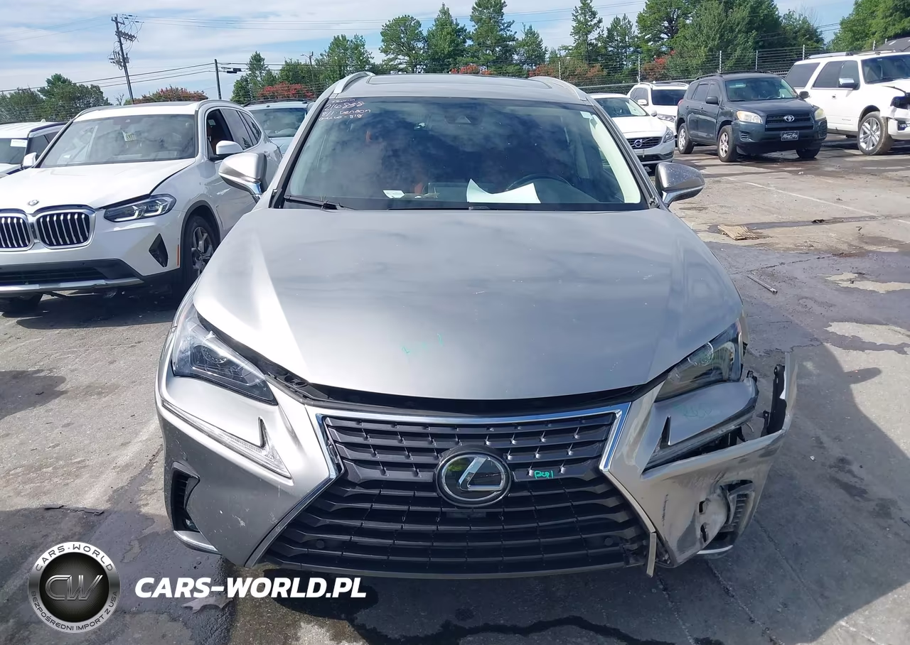 2020 Lexus Nx 300 VIN:JTJGARBZ1L2166772 - 12
