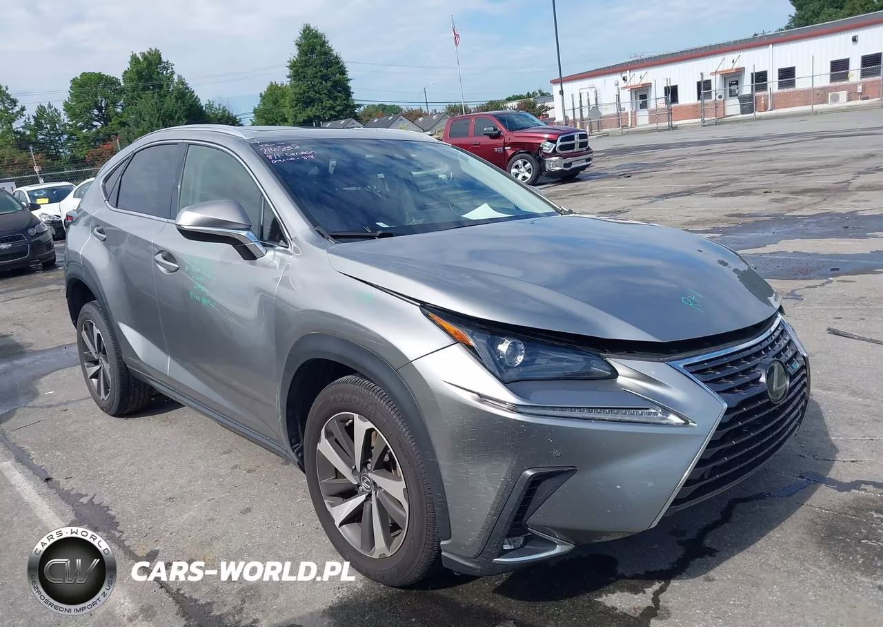 2020 Lexus Nx 300 VIN:JTJGARBZ1L2166772 - 13