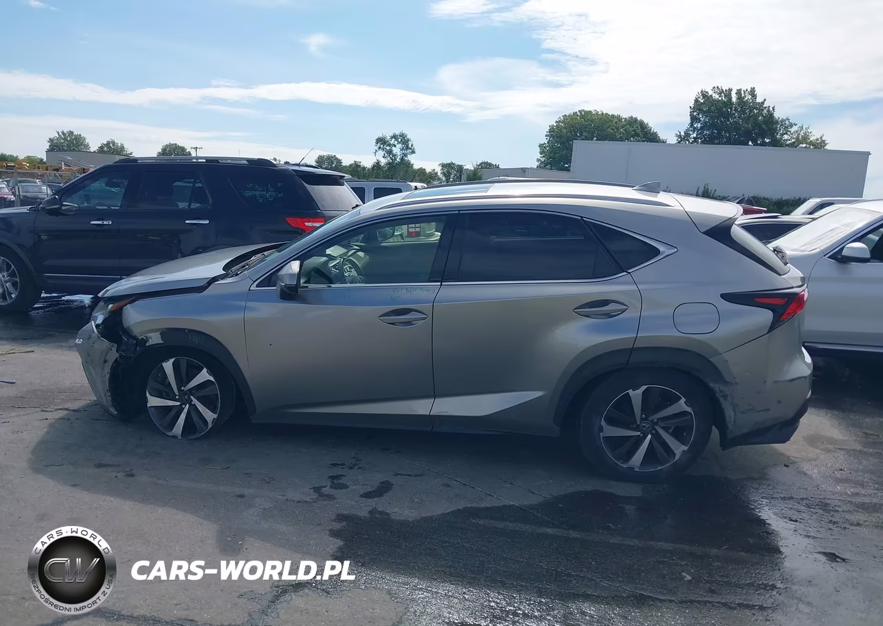 2020 Lexus Nx 300 VIN:JTJGARBZ1L2166772 - 14