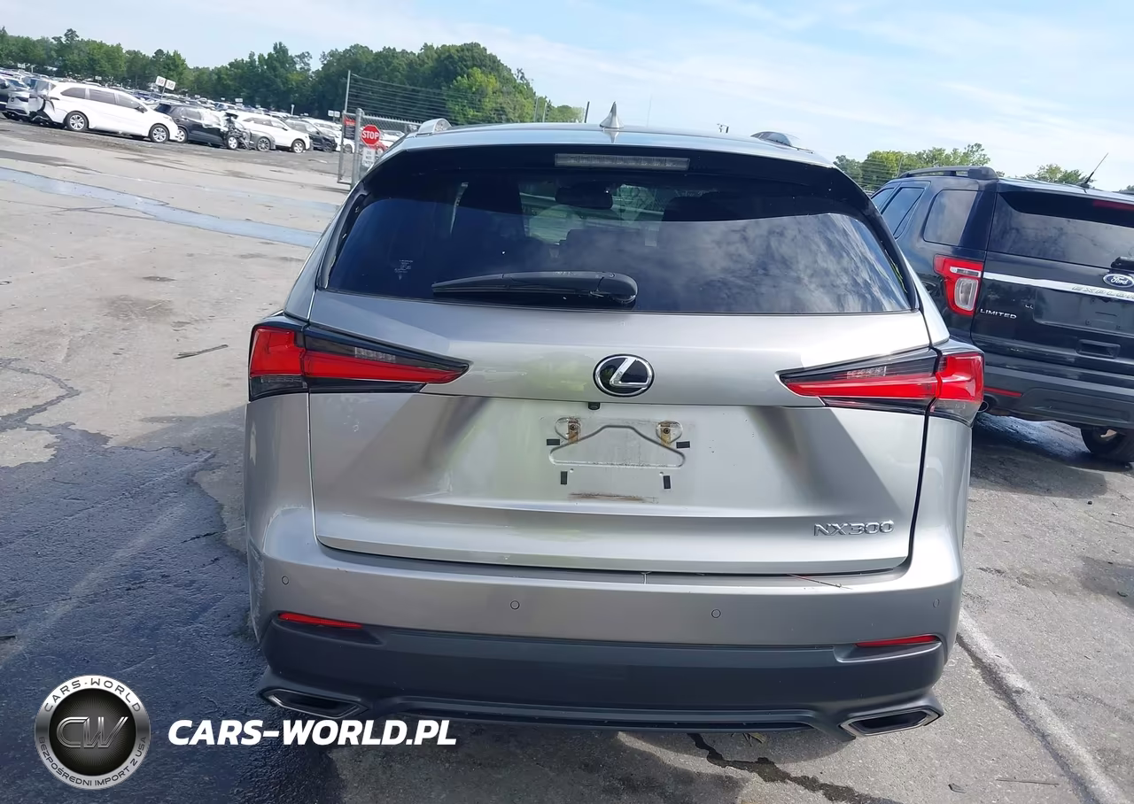 2020 Lexus Nx 300 VIN:JTJGARBZ1L2166772 - 16