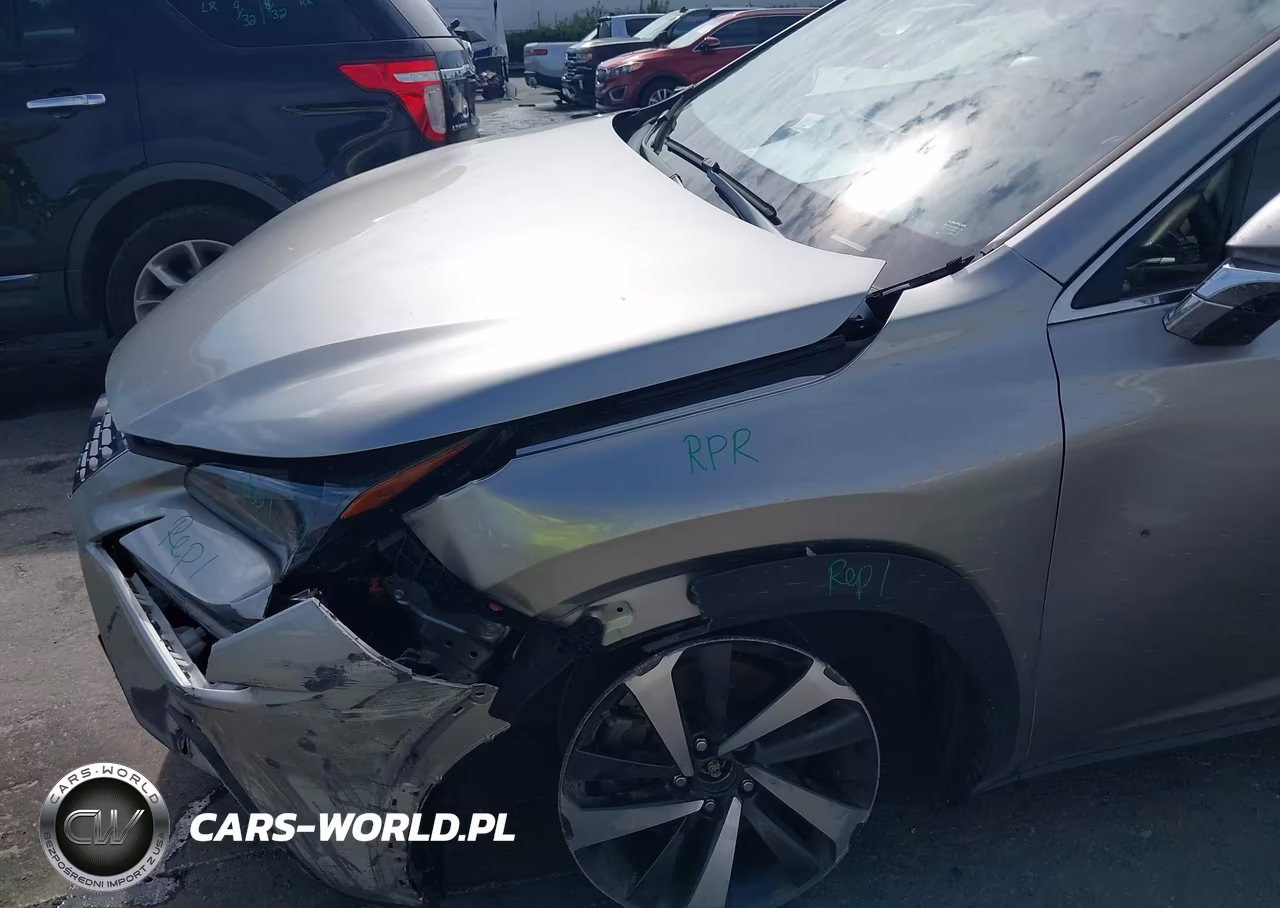 2020 Lexus Nx 300 VIN:JTJGARBZ1L2166772 - 17