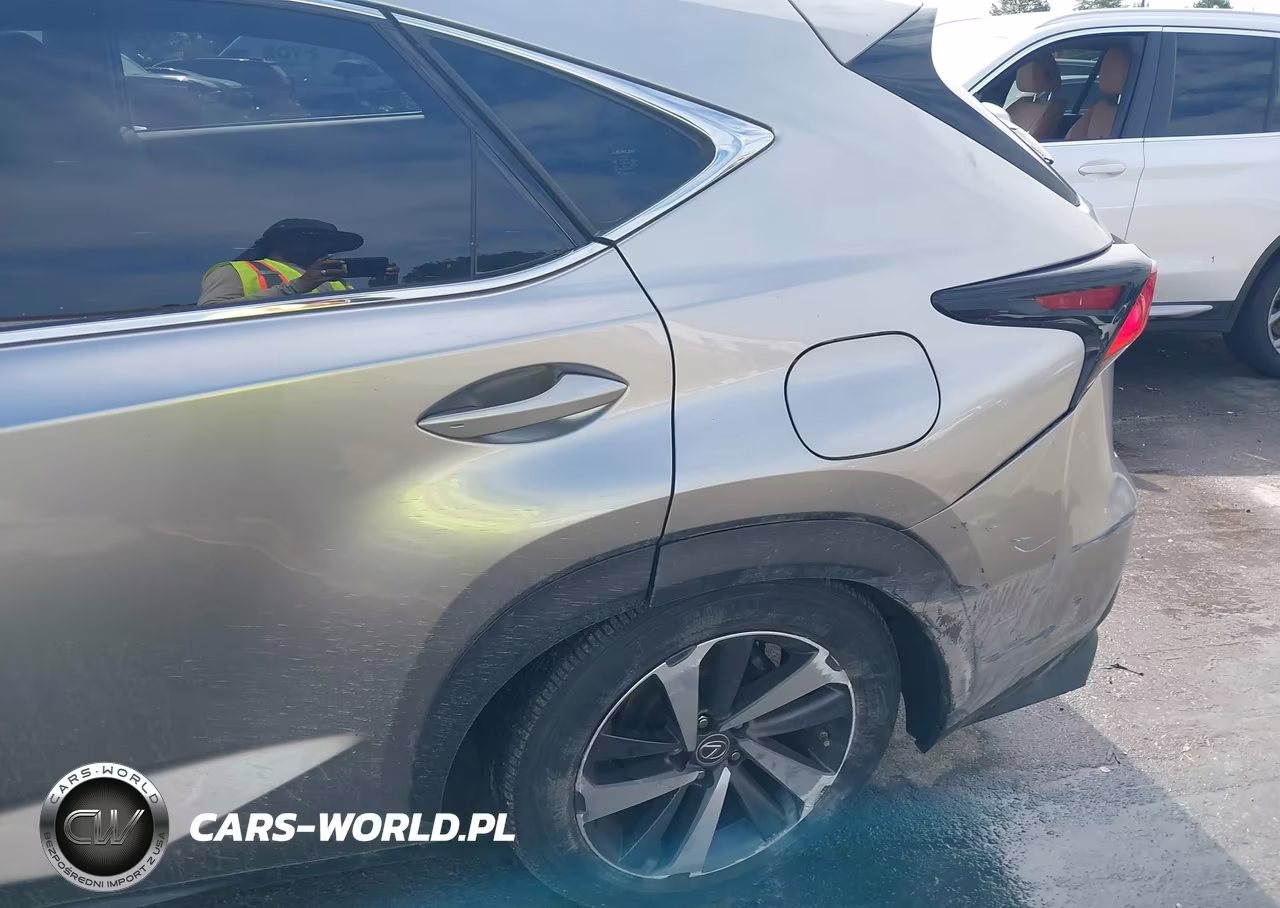2020 Lexus Nx 300 VIN:JTJGARBZ1L2166772 - 18