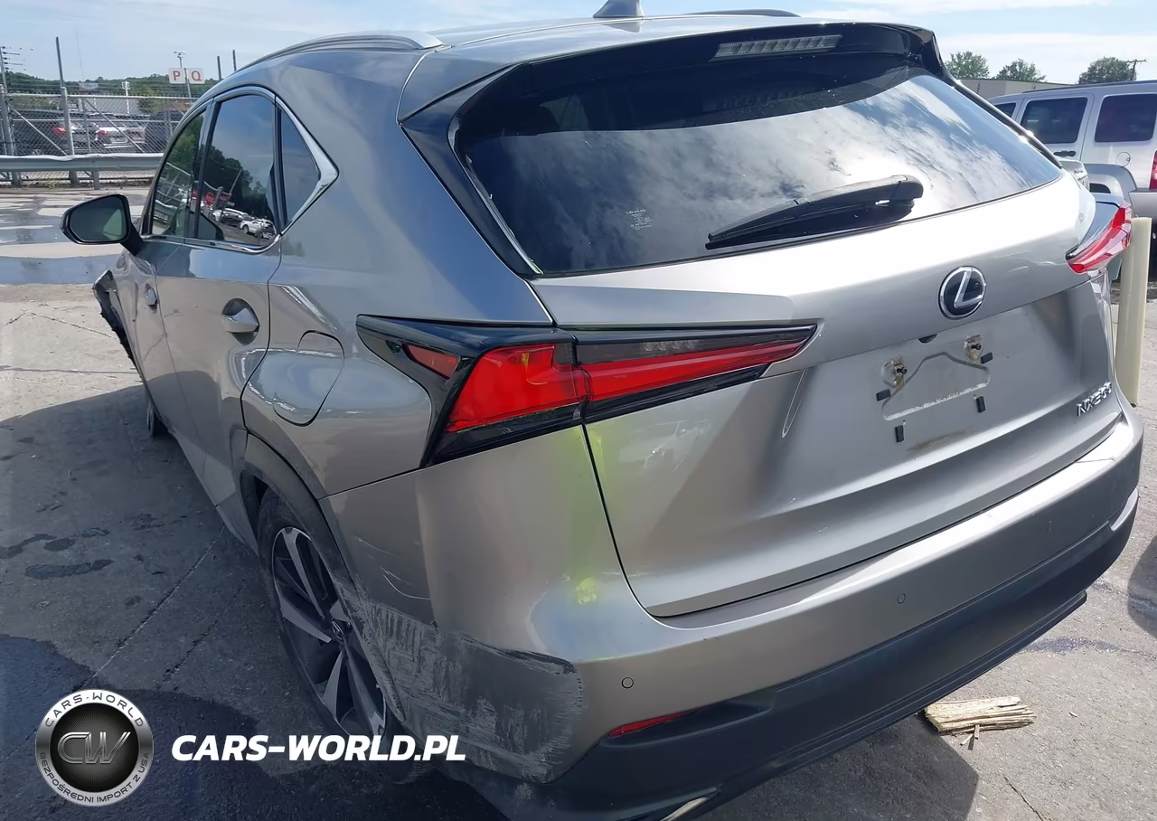 2020 Lexus Nx 300 VIN:JTJGARBZ1L2166772 - 19
