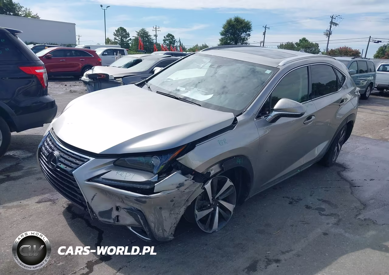 2020 Lexus Nx 300 VIN:JTJGARBZ1L2166772 - 2