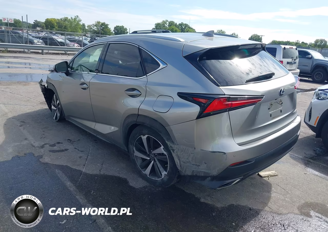 2020 Lexus Nx 300 VIN:JTJGARBZ1L2166772 - 3