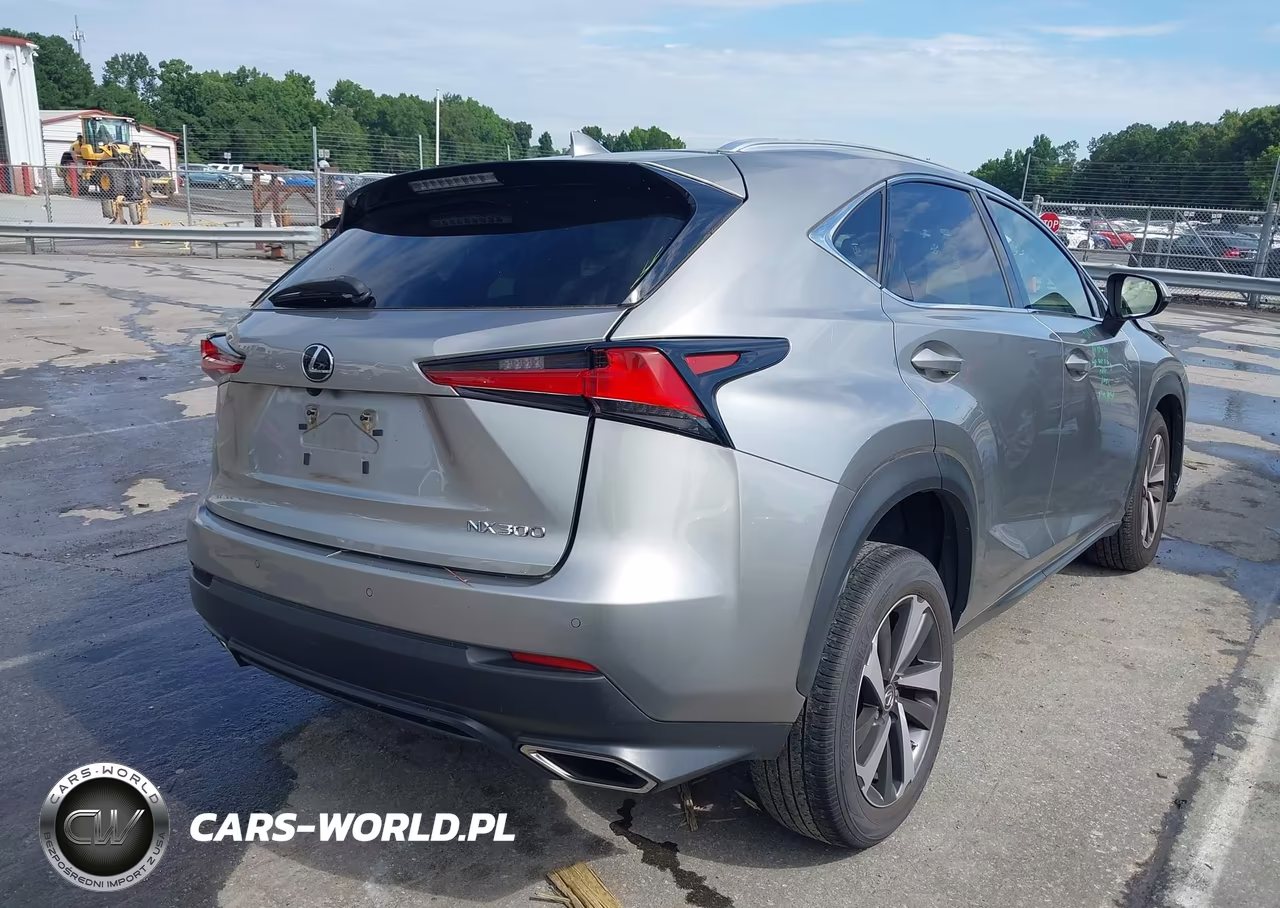 2020 Lexus Nx 300 VIN:JTJGARBZ1L2166772 - 4